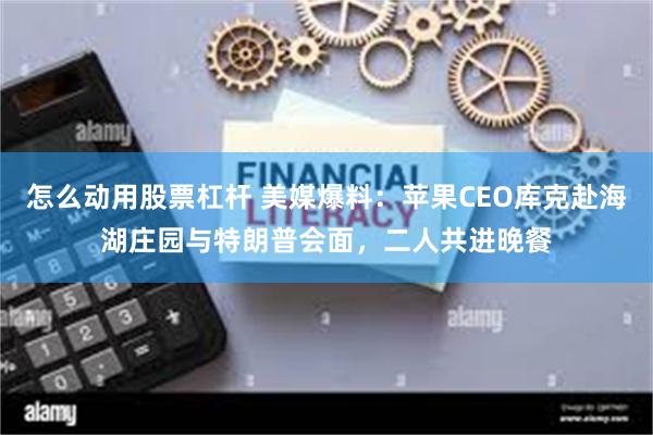 怎么动用股票杠杆 美媒爆料：苹果CEO库克赴海湖庄园与特朗普会面，二人共进晚餐
