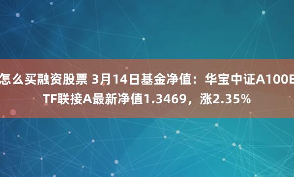 怎么买融资股票 3月14日基金净值：华宝中证A100ETF联接A最新净值1.3469，涨2.35%