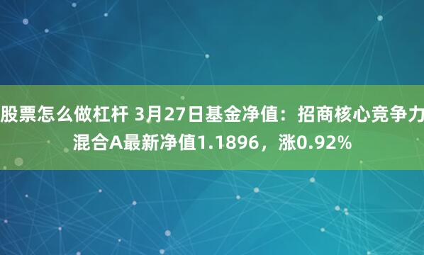 股票怎么做杠杆 3月27日基金净值：招商核心竞争力混合A最新净值1.1896，涨0.92%