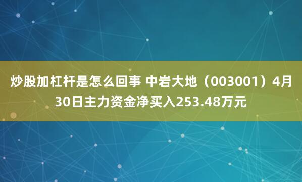 炒股加杠杆是怎么回事 中岩大地（003001）4月30日主力资金净买入253.48万元