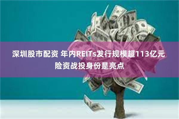 深圳股市配资 年内REITs发行规模超113亿元 险资战投身份是亮点