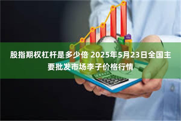 股指期权杠杆是多少倍 2025年5月23日全国主要批发市场李子价格行情