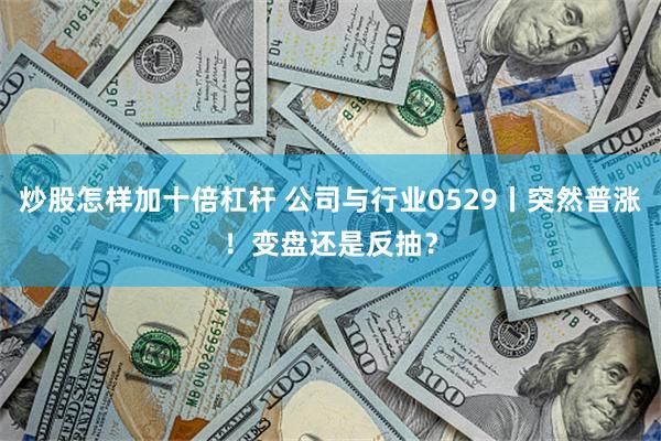 炒股怎样加十倍杠杆 公司与行业0529丨突然普涨！变盘还是反抽？