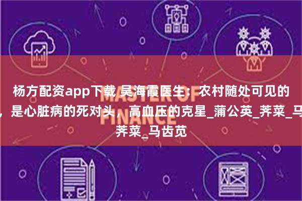 杨方配资app下载 吴海霞医生：农村随处可见的野菜，是心脏病的死对头，高血压的克星_蒲公英_荠菜_马齿苋